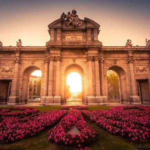Rosas Madri
